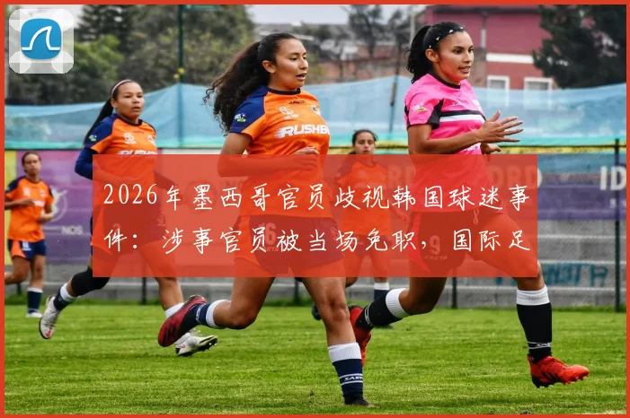 2026年墨西哥官员歧视韩国球迷事件：涉事官员被当场免职，国际足联或介入调查