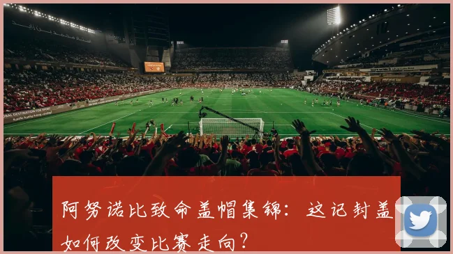 阿努诺比致命盖帽集锦：这记封盖如何改变比赛走向？