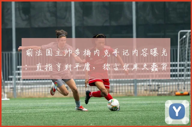 前法国主帅多梅内克手记内容曝光：直指亨利平庸，称古尔库夫蠢货、阿内尔卡白痴，2026年回忆录细节引争议